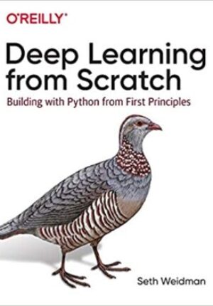 Deep learning from scratch : building with Python from first principles